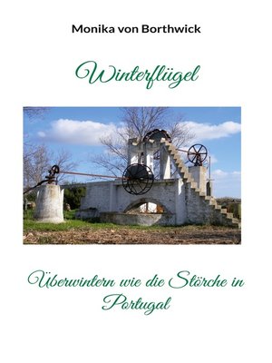 cover image of Winterflügel
